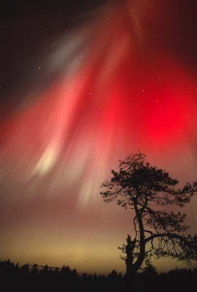 RöhköStar 108 Lägenhet Äkäslompolo Exteriör bild